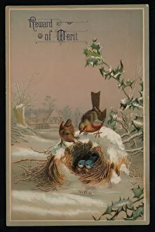 Robins and birds in a nest, Greetings card (chromolitho)