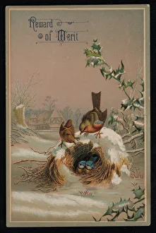 Robins and birds in a nest, Greetings card (chromolitho) Robins and birds in a nest, Greetings card (chromolitho)