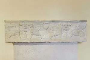 Creatures Gallery: Roman sarcophagus, inv 578032 (marble)