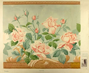 Flowers Of Earth Gallery: Rosa No.283, 1912 (gouache on paper)