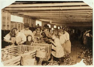 Rosy aged 8 works a 14 hour day as an oyster shucker at Dunbar Cannery, Louisiana Rosy aged 8 works a 14 hour day as an oyster shucker at Dunbar Cannery, Louisiana
