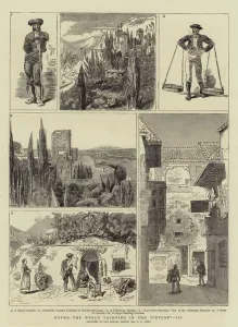 Round the World Yachting in the 'Ceylon', III (engraving) Round the World Yachting in the 'Ceylon', III (engraving)
