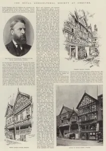 Bridge Street Gallery: The Royal Agricultural Society at Chester (engraving)