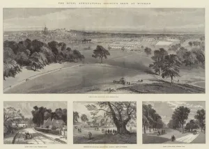 The Royal Agricultural Society's Show at Windsor (engraving) The Royal Agricultural Society's Show at Windsor (engraving)
