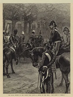 The Royal Review of the Troops from Egypt, a Sketch in the Mall The Royal Review of the Troops from Egypt, a Sketch in the Mall