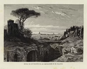 Ruins of the palaces of the emperors on the Palatine (engraving)