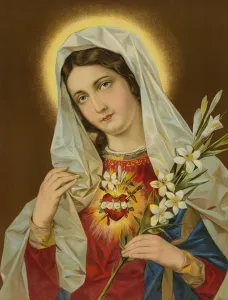 Sacred Heart of the Virgin Mary (chromolitho) Sacred Heart of the Virgin Mary (chromolitho)