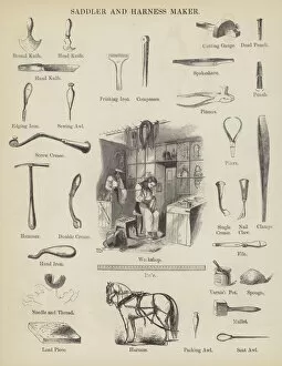 Saddler and Harness Maker (engraving)