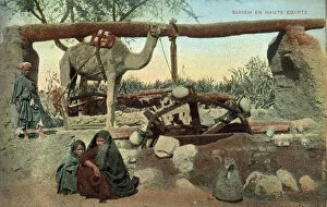 Sakia, Upper Egypt (colour photo)