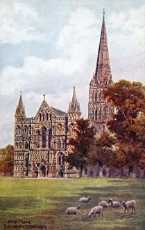 Salisbury Cathedral, West front (colour litho) Salisbury Cathedral, West front (colour litho)