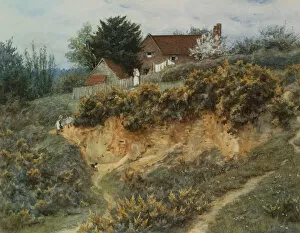 Allingham Gallery: At Sandhills, Witley (watercolour with scratching out)