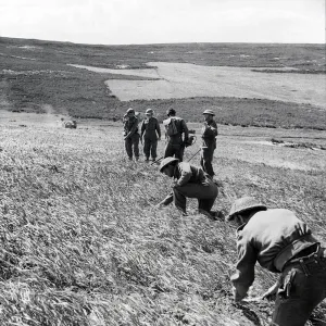 Sappers of the 237 Field Company, Royal Engineers, clearing a minefield in the aftermath Sappers of the 237 Field Company, Royal Engineers, clearing a minefield in the aftermath