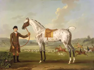 Scipio, Colonel Roches Spotted Hunter, c.1750 (oil on canvas)