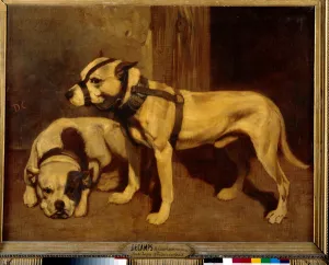 Scottish Bulldog and Terrier Bad Dog with muzzle. Painting by Alexandre Gabriel Decamps Scottish Bulldog and Terrier Bad Dog with muzzle. Painting by Alexandre Gabriel Decamps