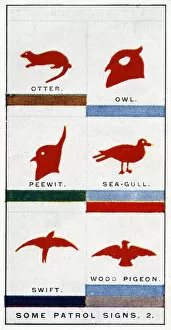 Sea Gull Gallery: Scout Patrol signs, 1929 (colour litho)
