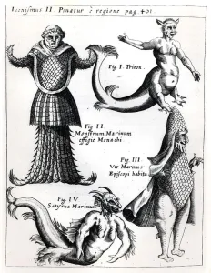Sea monsters, illustration from Physica Curiosa by Gaspar Schott S.J Sea monsters, illustration from Physica Curiosa by Gaspar Schott S.J