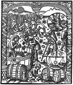 September, from the Almanach des Bergers, 1491 (xylograph) (b/w photo) September, from the Almanach des Bergers, 1491 (xylograph) (b/w photo)