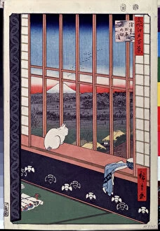 Serie 'Les cent vues celebres d'Edo' : 'Les rizieres d'Asakusa pendant la fete du coq