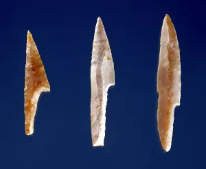 Three serrated points, from Volgu, Solutrean Period, 20000-15000 BC (flint) Three serrated points, from Volgu, Solutrean Period, 20000-15000 BC (flint)