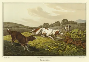 Setters (chromolitho) Setters (chromolitho)