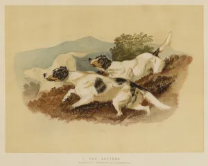 The Setters (colour litho) The Setters (colour litho)