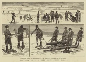 Sham-Fight on Snow-Shoes near Quebec, Canada (engraving) Sham-Fight on Snow-Shoes near Quebec, Canada (engraving)