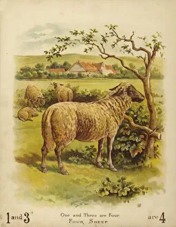 Basis Gallery: Four Sheep (chromolitho)