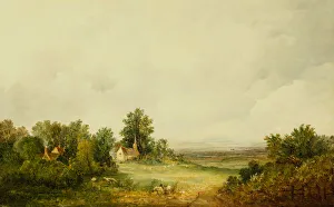 Sheep by a Church in a Wooded Landscape, 1856 (oil on canvas) Sheep by a Church in a Wooded Landscape, 1856 (oil on canvas)