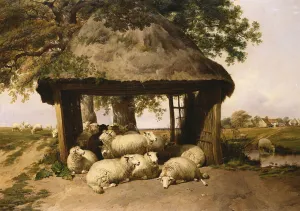 Sheep Resting Under a Shelter (oil on canvas) Sheep Resting Under a Shelter (oil on canvas)