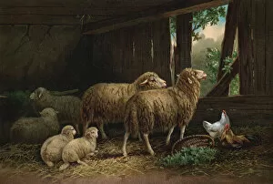 The Sheepfold (chromolitho)