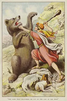 Shepherd protecting his sheep from a bear (chromolitho)