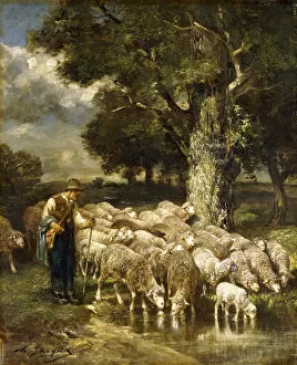A Shepherd tending his Flock, (oil on canvas)