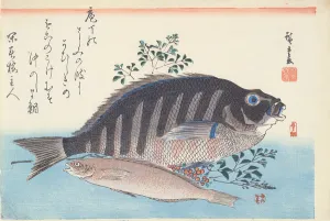 Shimadai and Ainame, from the series The Large Fish, Utagawa School, c Shimadai and Ainame, from the series The Large Fish, Utagawa School, c