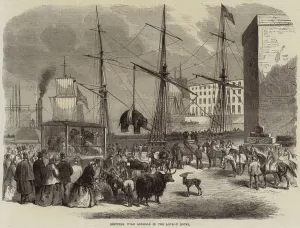Shipping Wild Animals in the London Docks (engraving) Shipping Wild Animals in the London Docks (engraving)