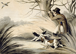 Shooting Duck, engraved by H. Merke, c.1809 (colour litho) Shooting Duck, engraved by H. Merke, c.1809 (colour litho)