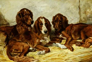 Shot and his Friends - Three Irish Red and White Setters, 1876 (oil on canvas) Shot and his Friends - Three Irish Red and White Setters, 1876 (oil on canvas)
