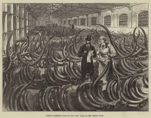Siberian Mammoth Tusks on the Ivory Floor at the London Docks (engraving) Siberian Mammoth Tusks on the Ivory Floor at the London Docks (engraving)
