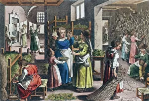 Every Day Life Gallery: Silk production in Europe in the 16th century (print)