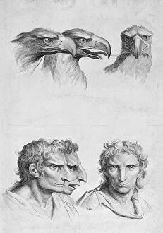 Similarity Gallery: Similarities Between the Head of an Eagle and a Man, from '
