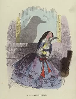 Singing Bird (coloured engraving)