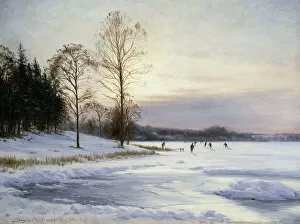 Artist Danish Gallery: Skaters on a Frozen Pond, 1905 (oil on canvas)