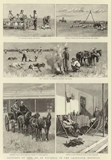 Sketches of Life on an Estancia in the Argentine Republic (engraving) Sketches of Life on an Estancia in the Argentine Republic (engraving)