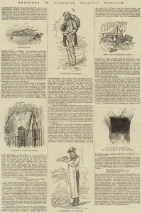 Sketches in Parnell's Country, Wicklow (engraving) Sketches in Parnell's Country, Wicklow (engraving)