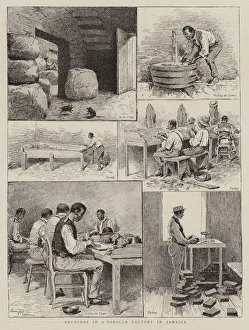 Sketches in a Tobacco Factory in Jamaica (engraving) Sketches in a Tobacco Factory in Jamaica (engraving)