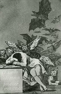 Related Images Gallery: The Sleep of Reason Produces Monsters, from Los Caprichos (engraving)