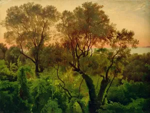 Slope with Olive Trees (oil on paper on panel) Slope with Olive Trees (oil on paper on panel)