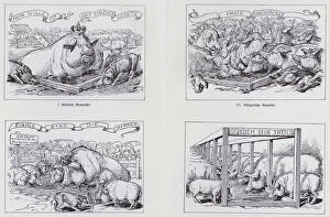 Similarity Gallery: Socialist cartoon of 1895 on different forms of government (litho)