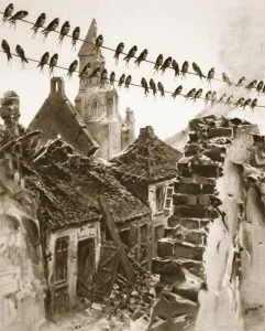 Soissons during the war: a congress of swallows discussing matters before migrating Soissons during the war: a congress of swallows discussing matters before migrating
