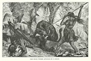 South America: Our Indian friends attacked by a jaguar (engraving)