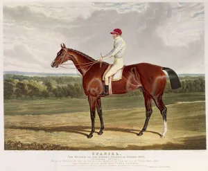 Spaniel, the Winner of the Derby Stakes at Epsom, 1831 Spaniel, the Winner of the Derby Stakes at Epsom, 1831